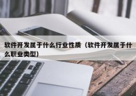 软件开发属于什么行业性质（软件开发属于什么职业类型）