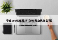 专业seo优化程序（seo专业优化公司）